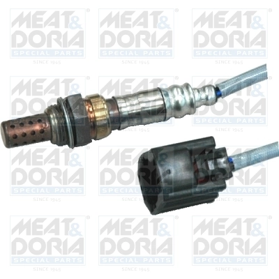 Oxygen Sensor